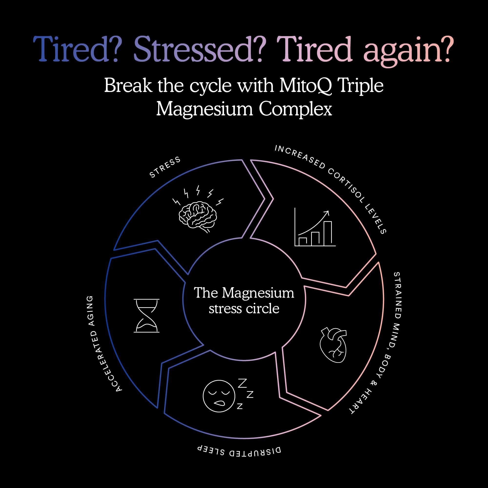 MitoQ Triple Magnesium orientado a apoyo del corazón y ritmo.