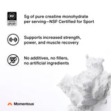 Momentous Creatine Monohidrato mezcla rápida para entrenamiento.