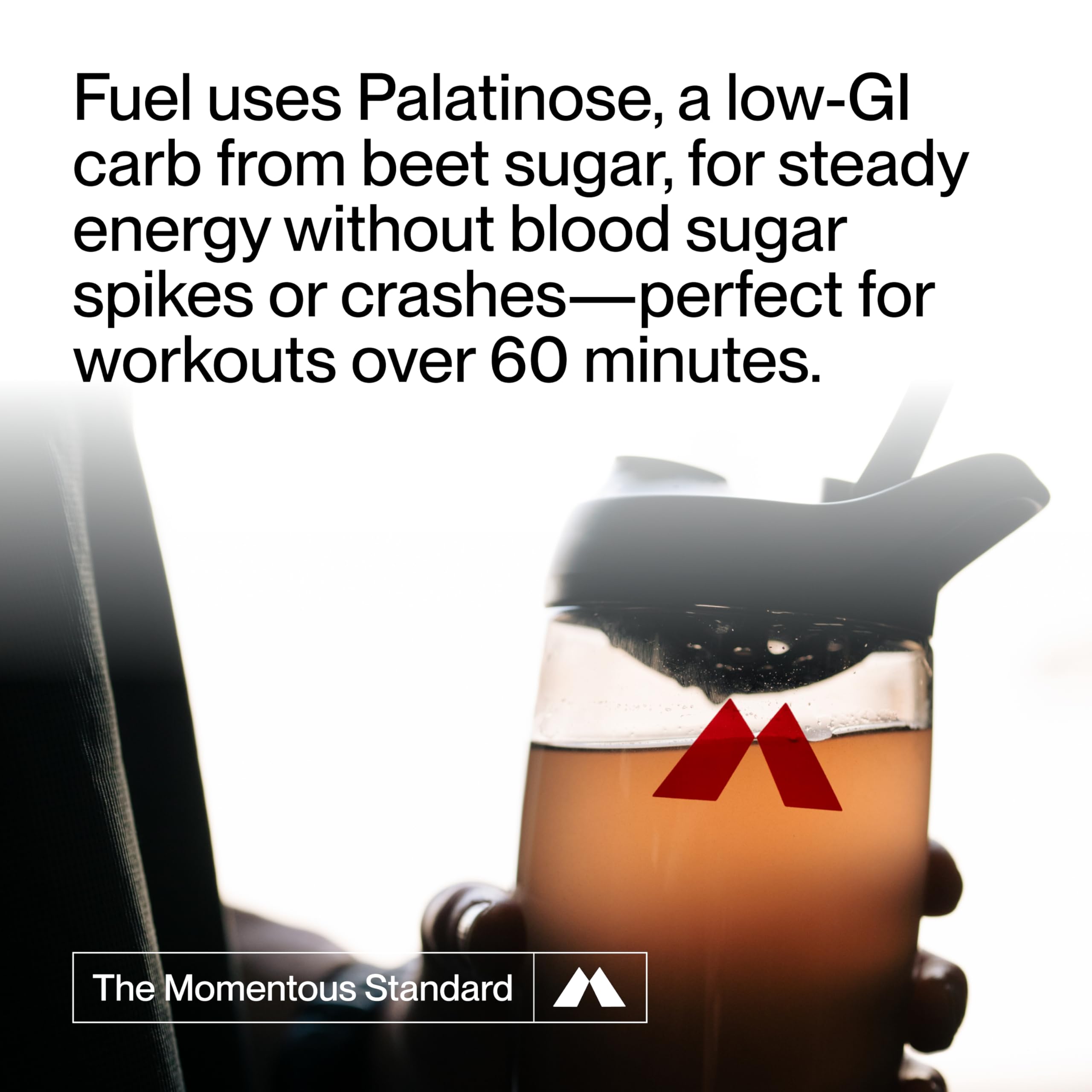 Momentous Fuel palatinosa, carbohidrato de liberación gradual para mayor resistencia.