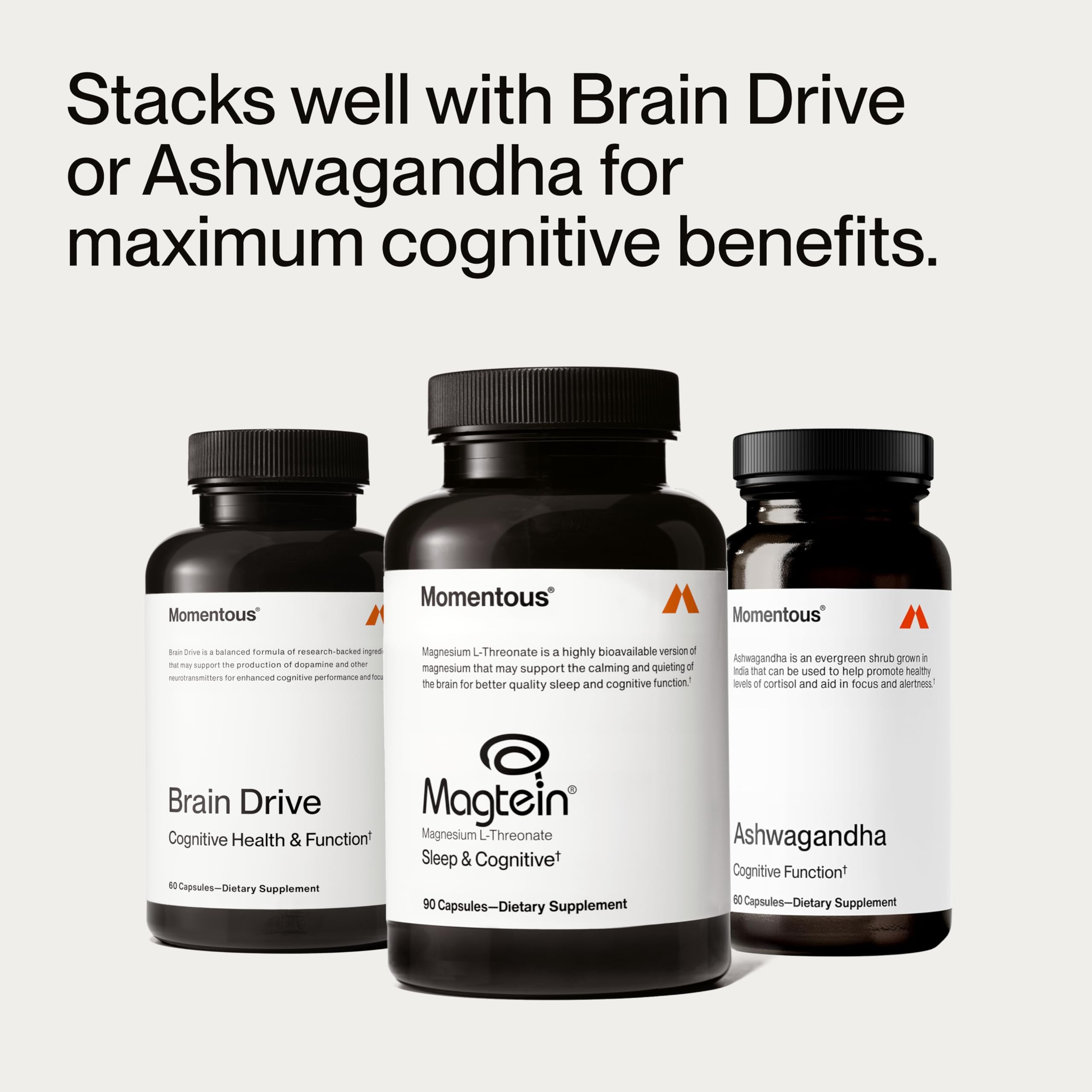 Momentous Magtein, tapa y cierre resistentes, diseño seguro para transporte.