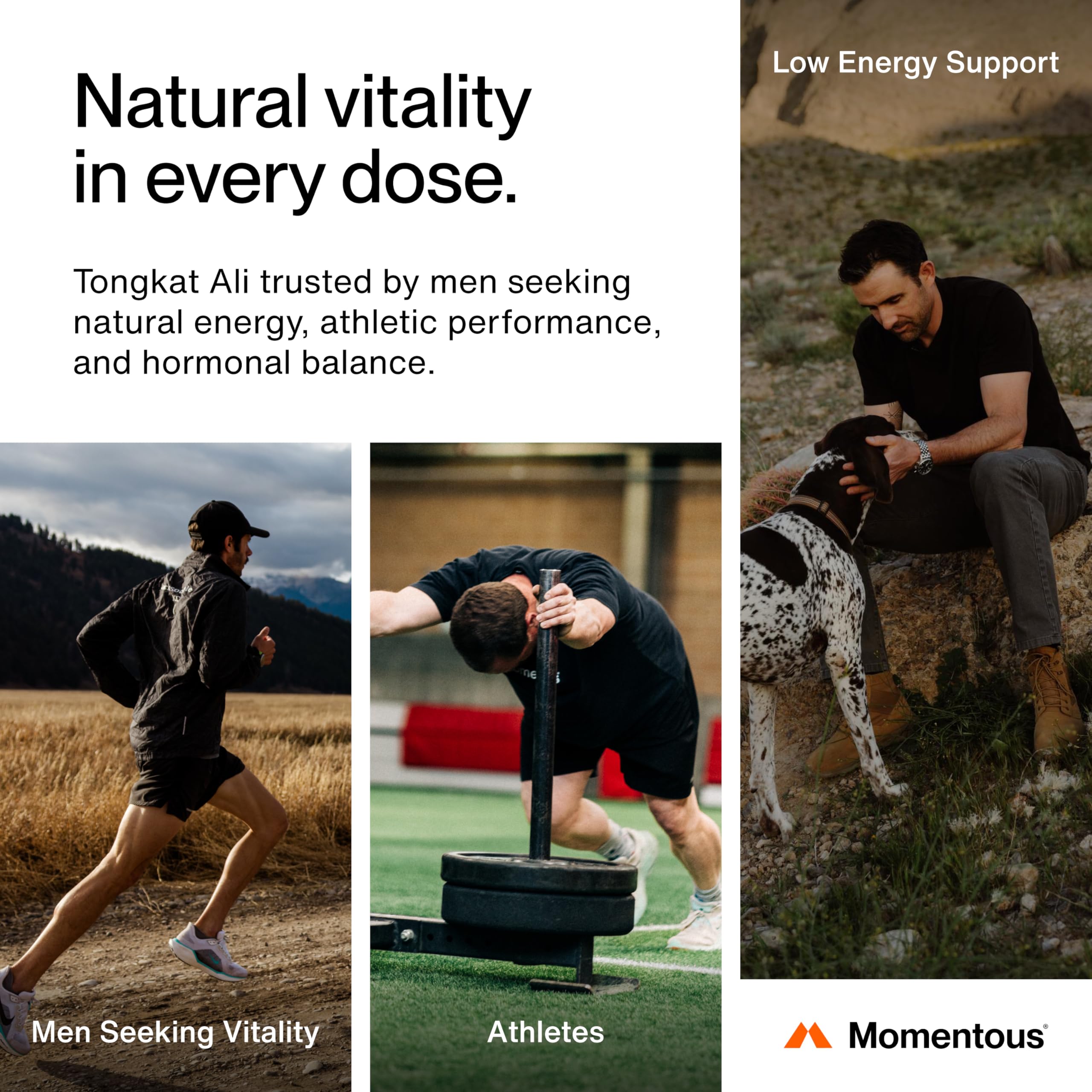 Momentous Tongkat Ali: apoyo hormonal para equilibrio diario