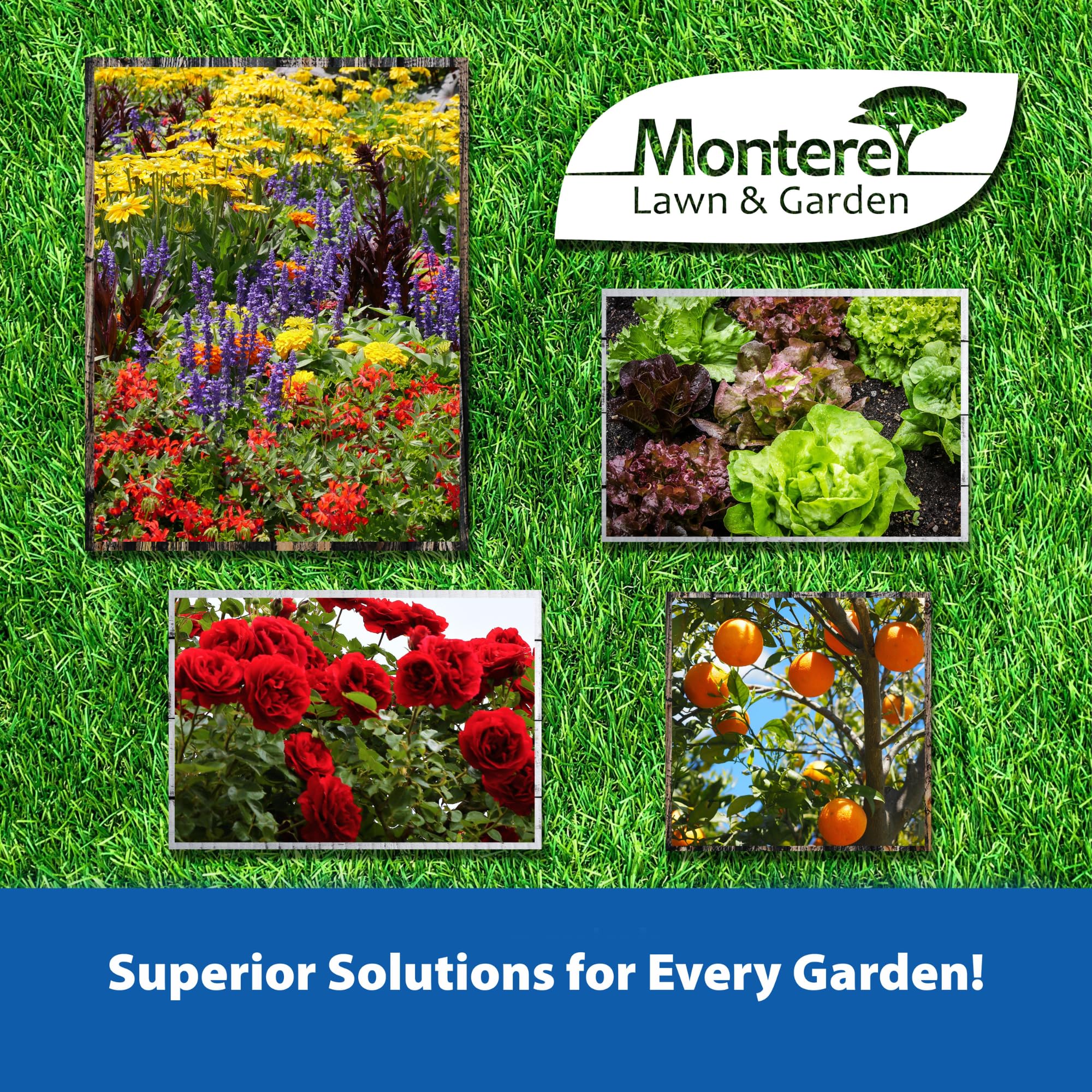 Monterey Foli-Cal: uso en tomates y vegetales para corregir desequilibrios y apoyar desarrollo.