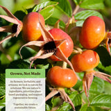Moon Valley Organics Eczacalm, piel-seca-y-irritada, sensación calmante al aplicar.