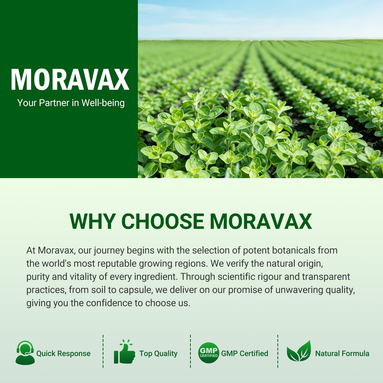 Moravax sello de laboratorio: pureza y potencia comprobadas