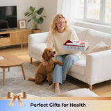 Morfone: kit de protección ocular y uso para personas y mascotas.
