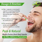 Ingredientes naturales de Morsan Nutraveda Kaunch para una rutina diaria con extracto vegetal.