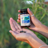 Motherlove Más Leche Moringa: cardo bendito presente en la mezcla herbal suave.