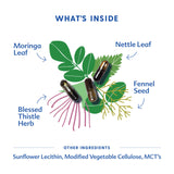 Motherlove Más Leche Moringa: moringa y hierbas orgánicas para una fórmula natural.