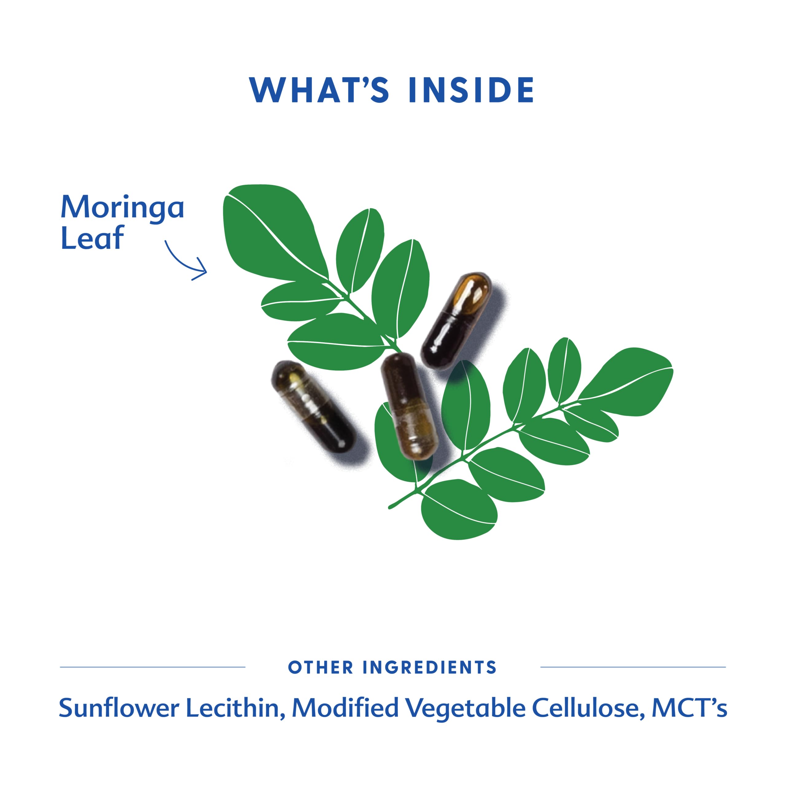 Motherlove Moringa: alternativa al fenogreco para lactancia suave