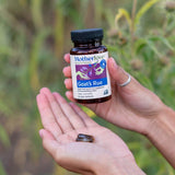 Motherlove ruda cabra-sabor neutro: mezcla sin sabor para consumo diario.