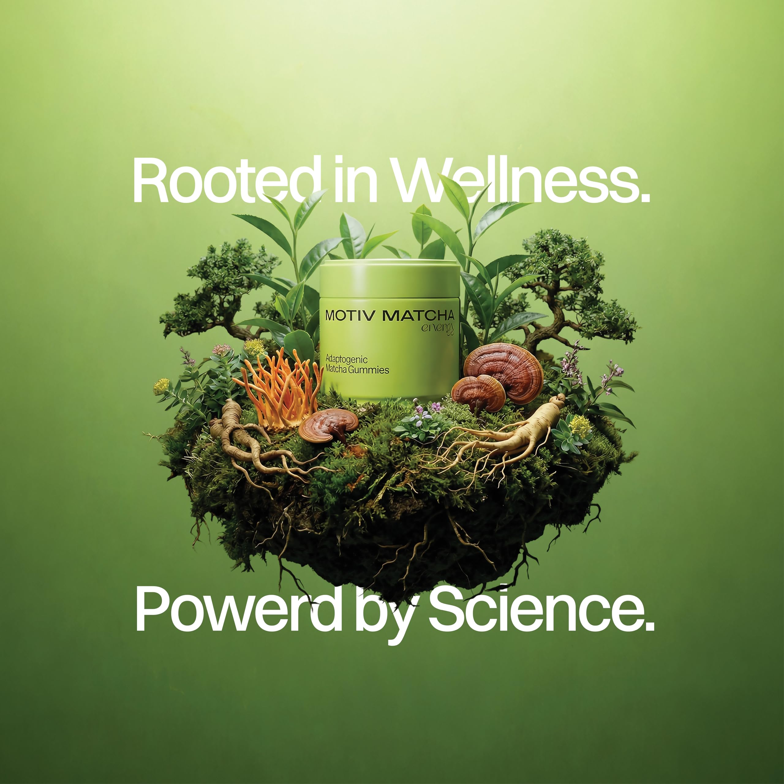 Motiv Matcha gominolas ginseng rojo para concentración sostenida