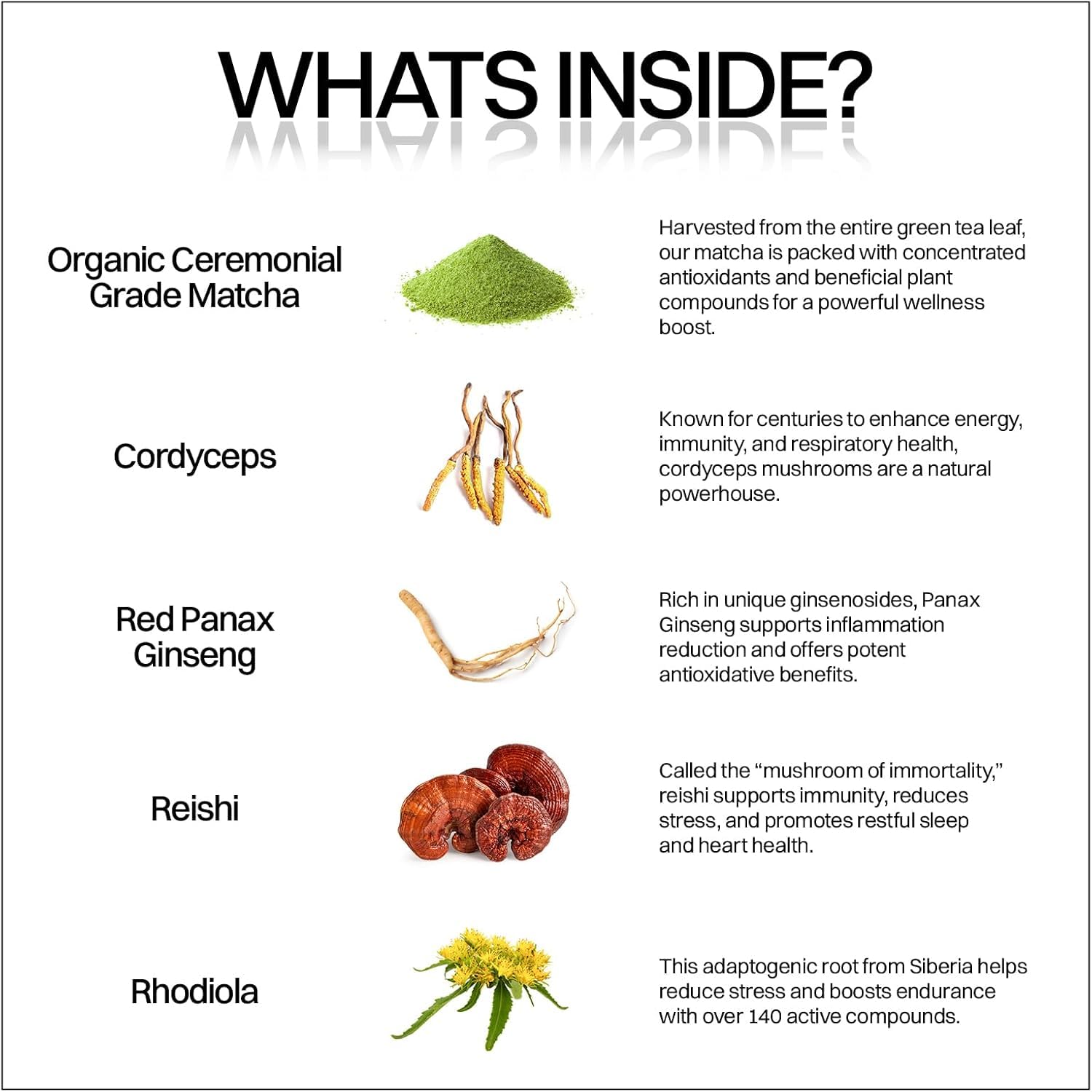 Motiv Matcha gominolas cordyceps y reishi para apoyo diario