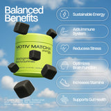 Motiv Matcha gominolas grado ceremonial sabor auténtico