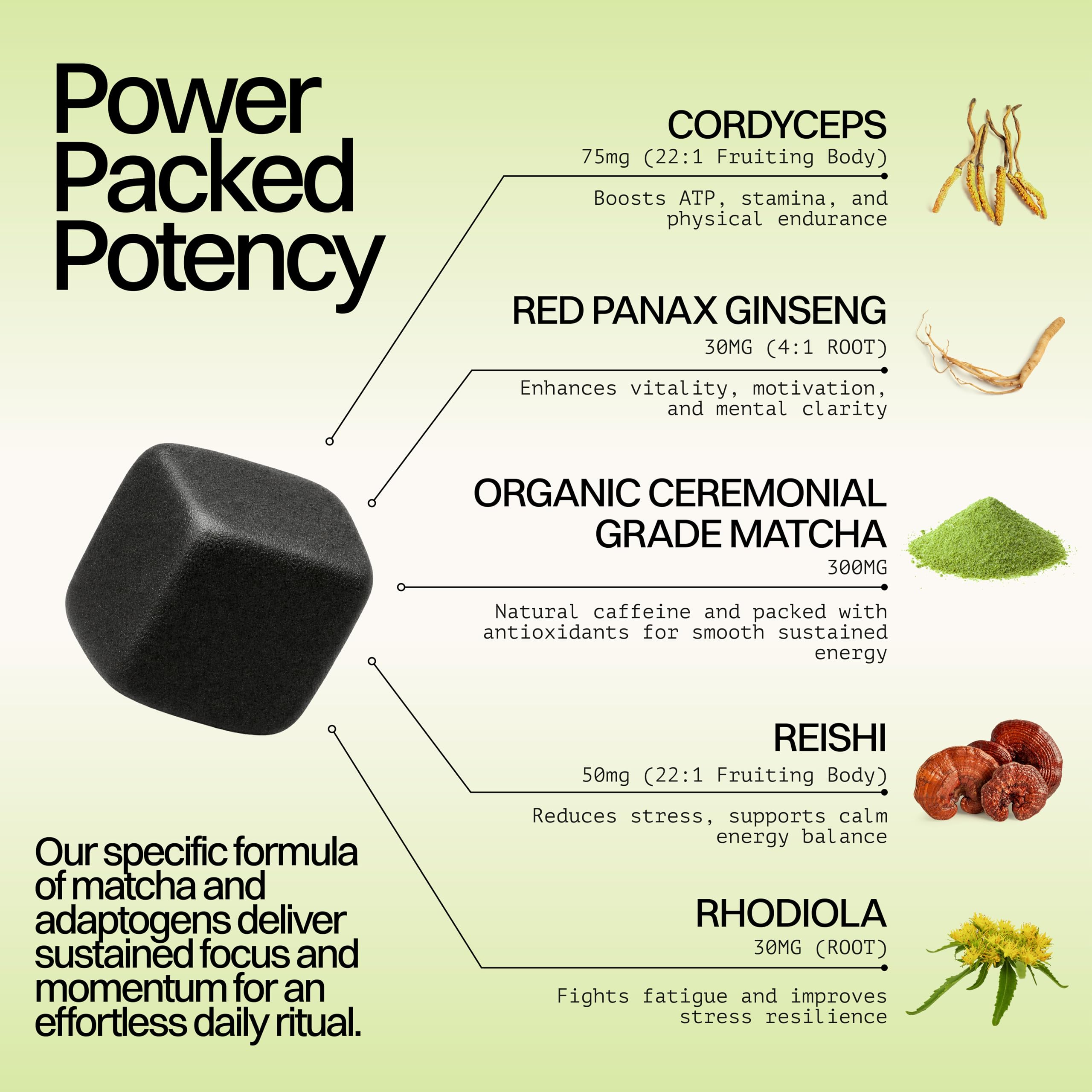 Motiv Matcha gominolas veganas sin OGM para estilo de vida consciente