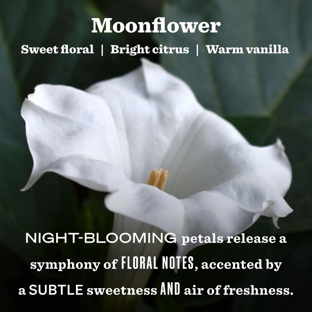 Aroma floral nocturno Flor de Luna para relajación en el hogar