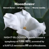 Aroma floral nocturno Flor de Luna para relajación en el hogar