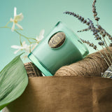 Aroma suave de eucalipto y menta para oficinas con M&SENSE.