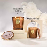 M&SENSE ideal para oficina: aroma constante y enfoque calmado