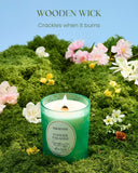 Aroma natural de aceites esenciales de M&SENSE para ambiente auténtico