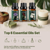 Mumianhua Jazmín 10 ml para experiencia romántica y difusor