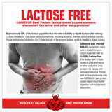 MuscleMeds CARNIVOR Mass: detalle de proteína de res sin grasa para dieta