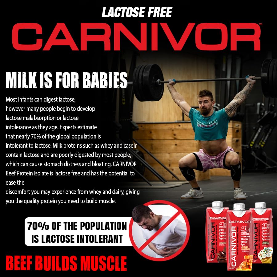 MuscleMeds Carnivor RTD: sabor vainilla cupcake, ideal tras entrenar.