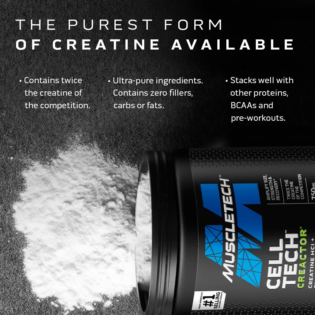 Polvo fino de MuscleTech Cell-Tech Creactor Fruta Punch listo para mezclar