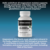 MYOXCIENCE escena de relajación suave para apoyo de rutina nocturna.