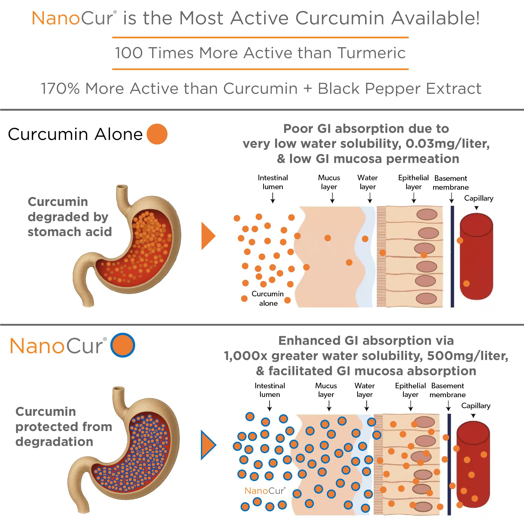 Nanocur: etiqueta frontal muestra formula de alta bioactividad.