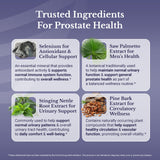 NATION HEALTH MD Flow Active: extracto de tomate licopeno, posible beneficio antioxidante.
