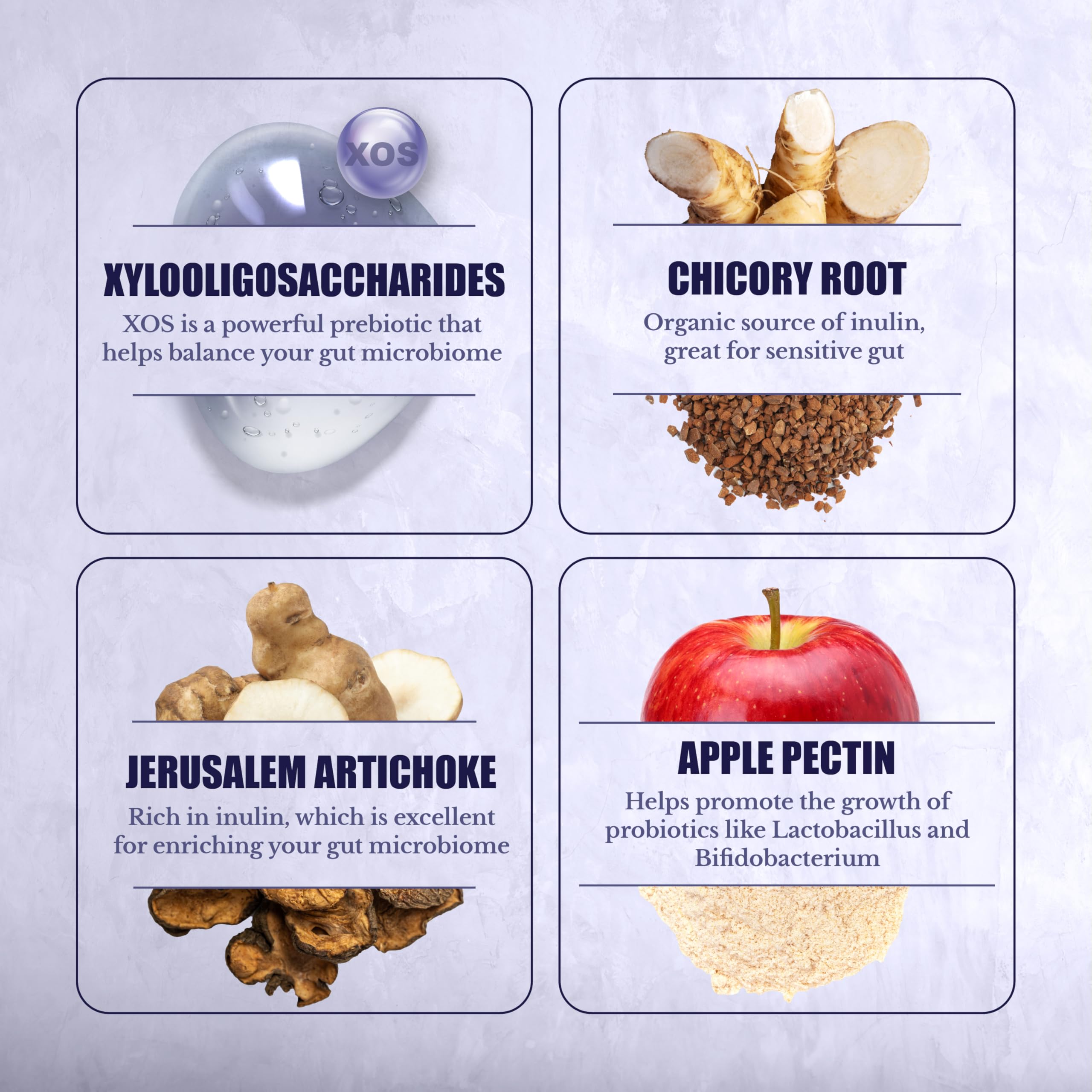 Nation Health MD Prebiotics complemento a probióticos para rutina digestiva