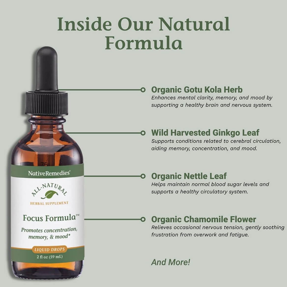 Fórmula Enfoque de Native Remedies, mezcla para bebida, opción sencilla para mejorar enfoque.