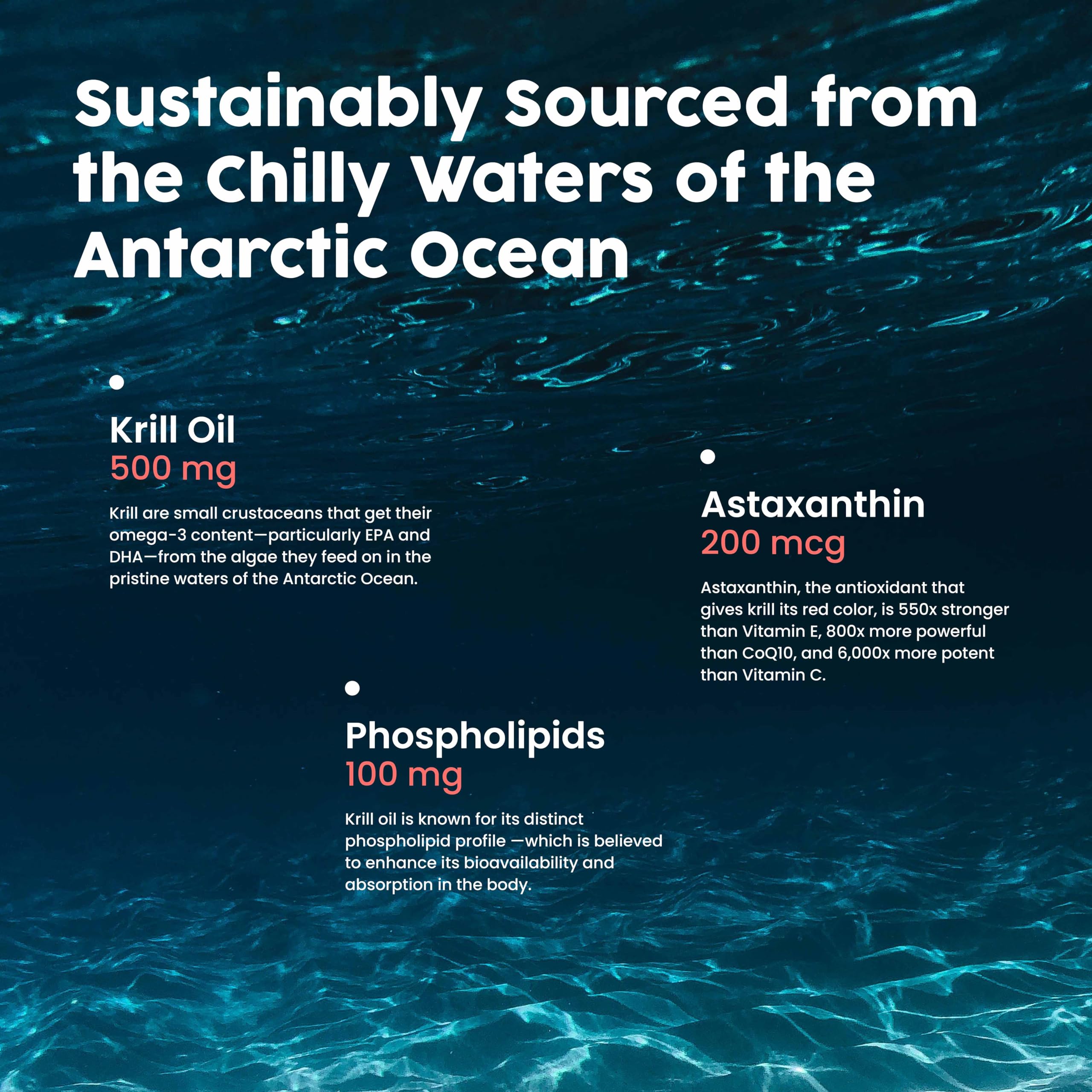NativePath Antártico Krill Aceite Composicion: fosfolípidos, omega-3 y EPA/DHA