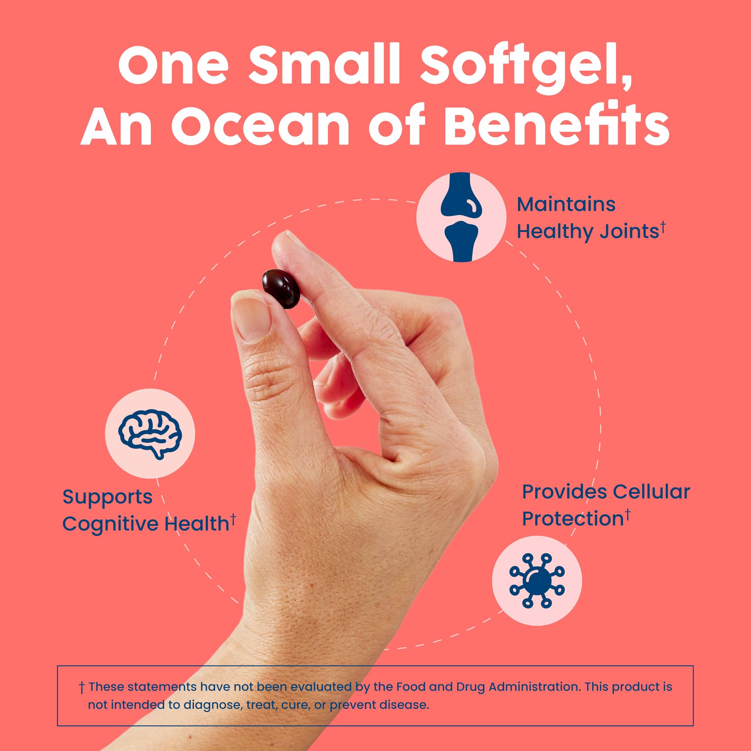NativePath Antártico Krill Aceite Etiqueta Nutricional: información clara y útil
