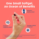 NativePath Antártico Krill Aceite Etiqueta Nutricional: información clara y útil