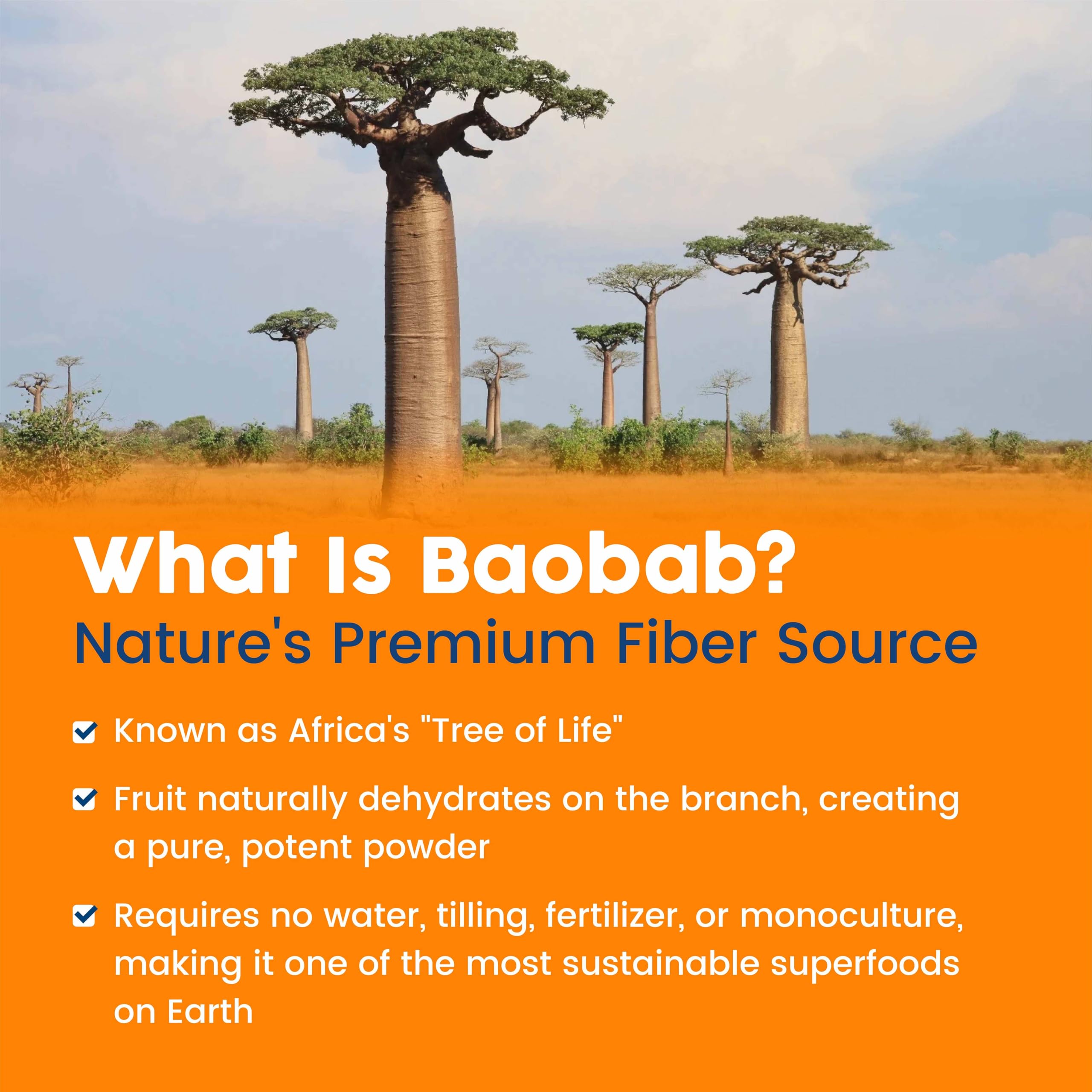 NativePath Baobab Prebiótico dispersión en agua fría, disolución rápida