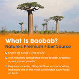 NativePath Baobab Prebiótico dispersión en agua fría, disolución rápida