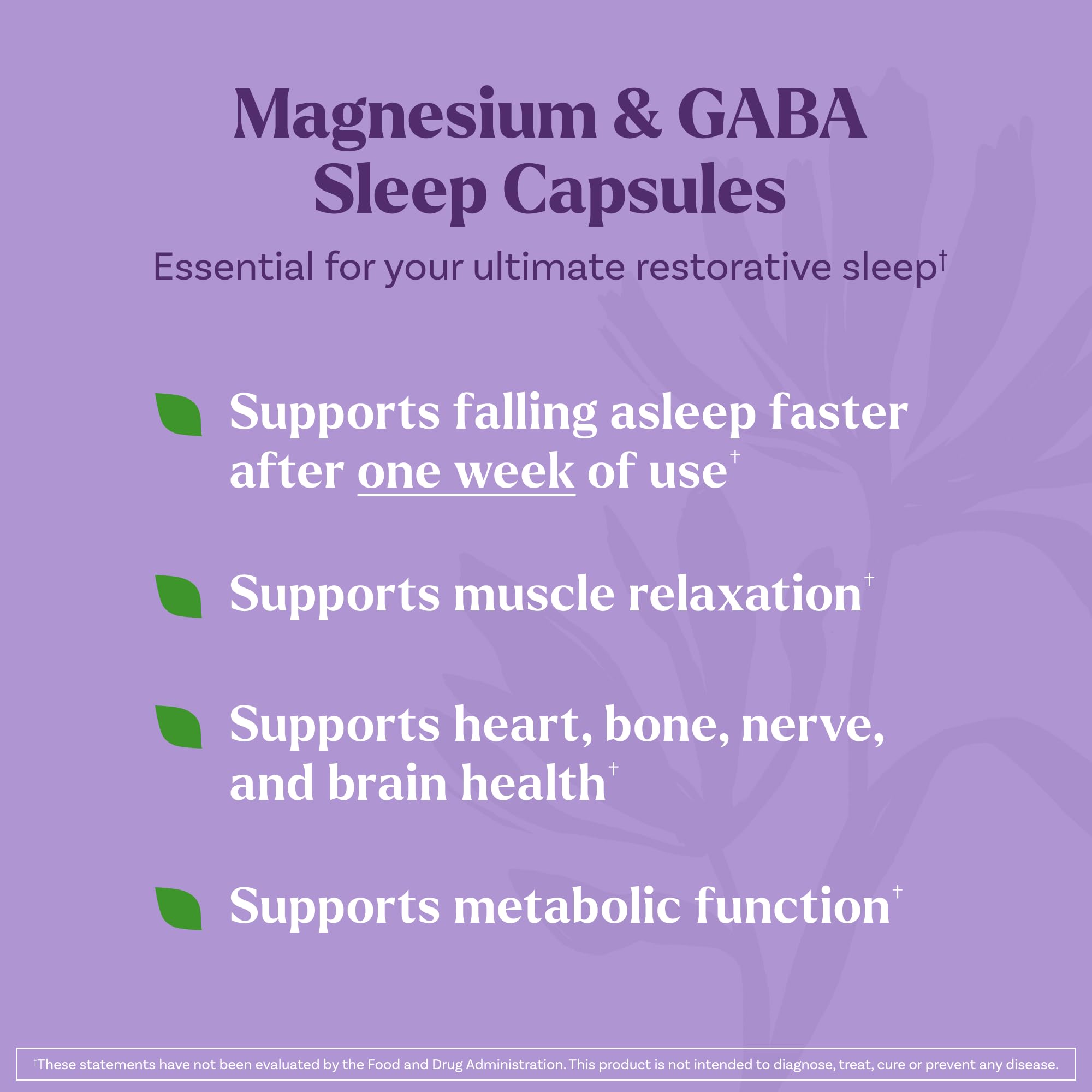 Natrol Sleep & Restore: etiqueta de la caja destacando la fórmula