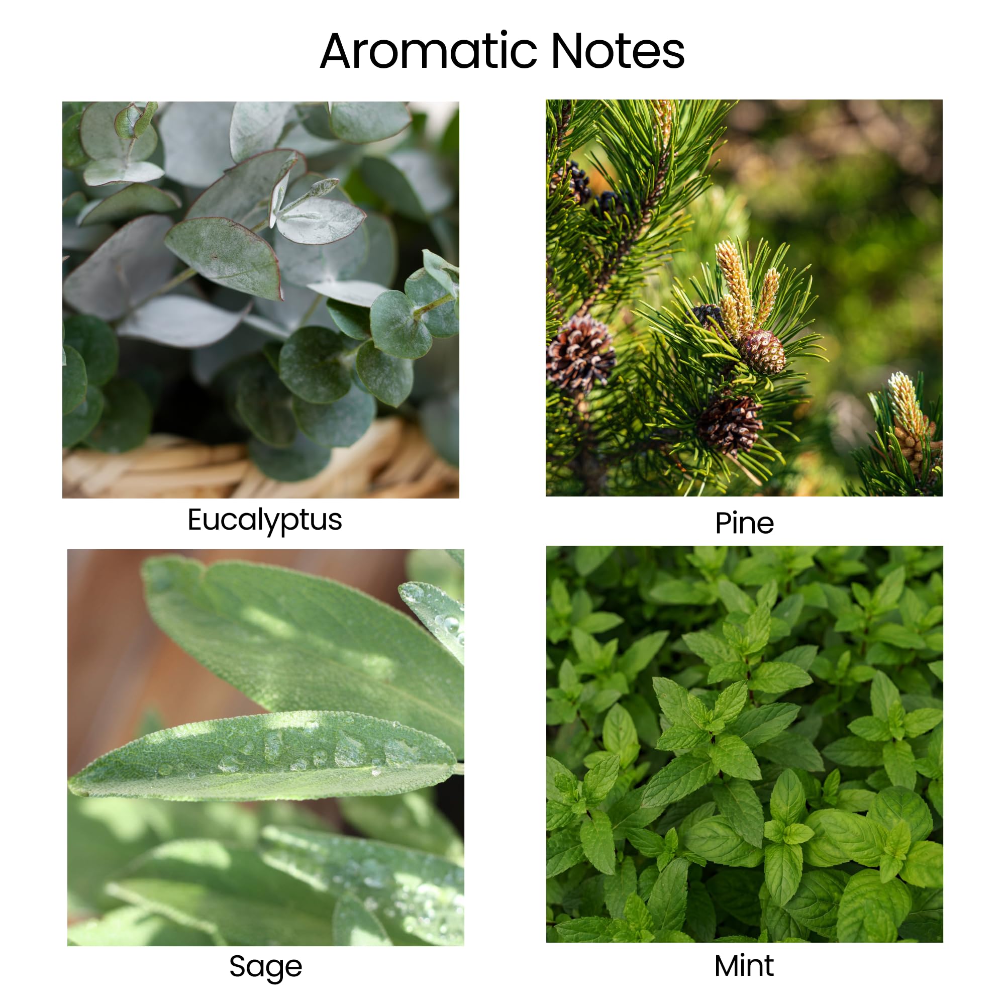 Vela Natur IX aroma salvia y menta favorece relajación y enfoque.