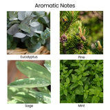 Vela Natur IX aroma salvia y menta favorece relajación y enfoque.
