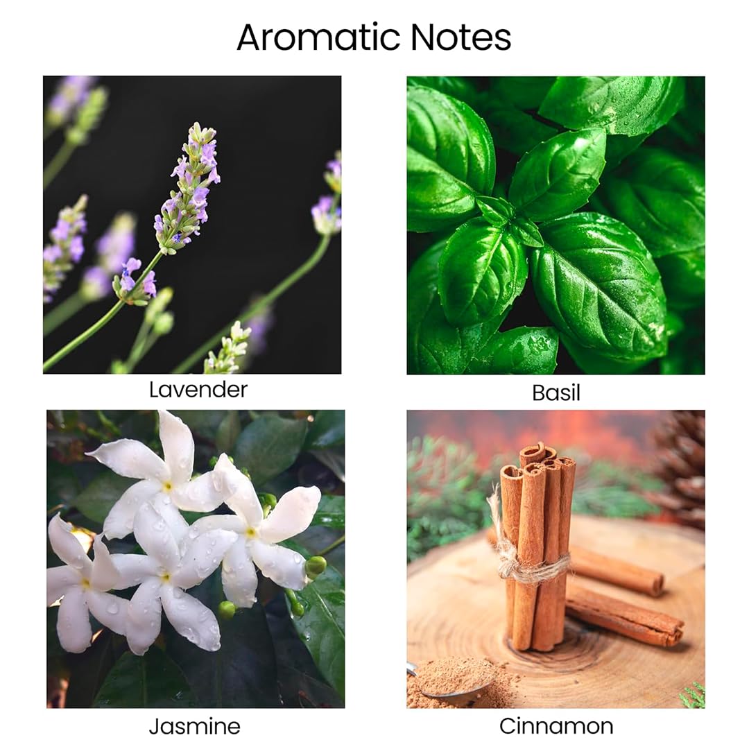 Vela regalo Natur IX de diseño elegante lista para entregar