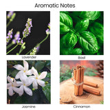 Vela regalo Natur IX de diseño elegante lista para entregar