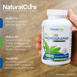 Natural Cure Labs, etiqueta de Andrographis Paniculata con 100 mg de andrographolides estandarizados.