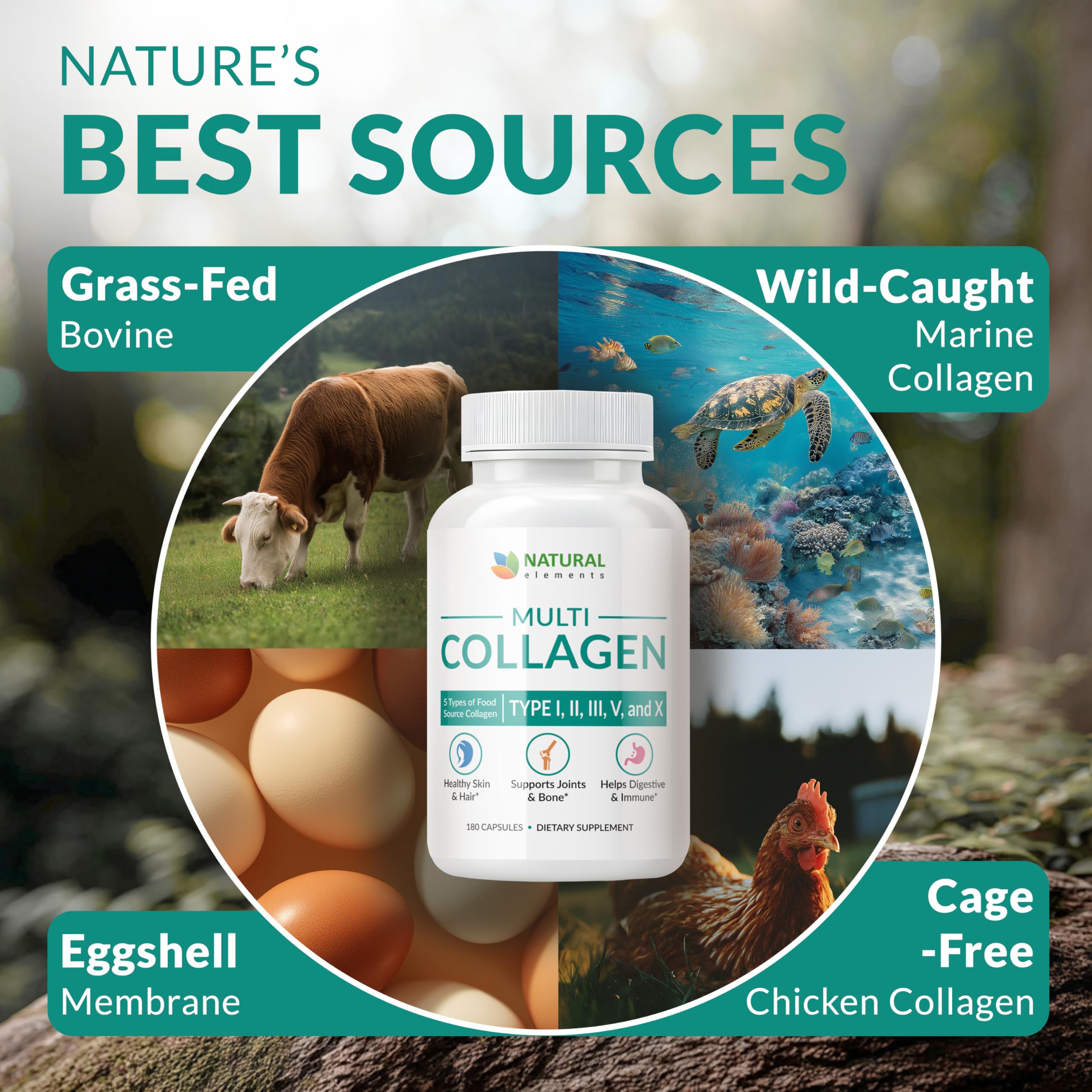 Natural Elements Multi Colágeno membrana de cáscara de huevo como fuente