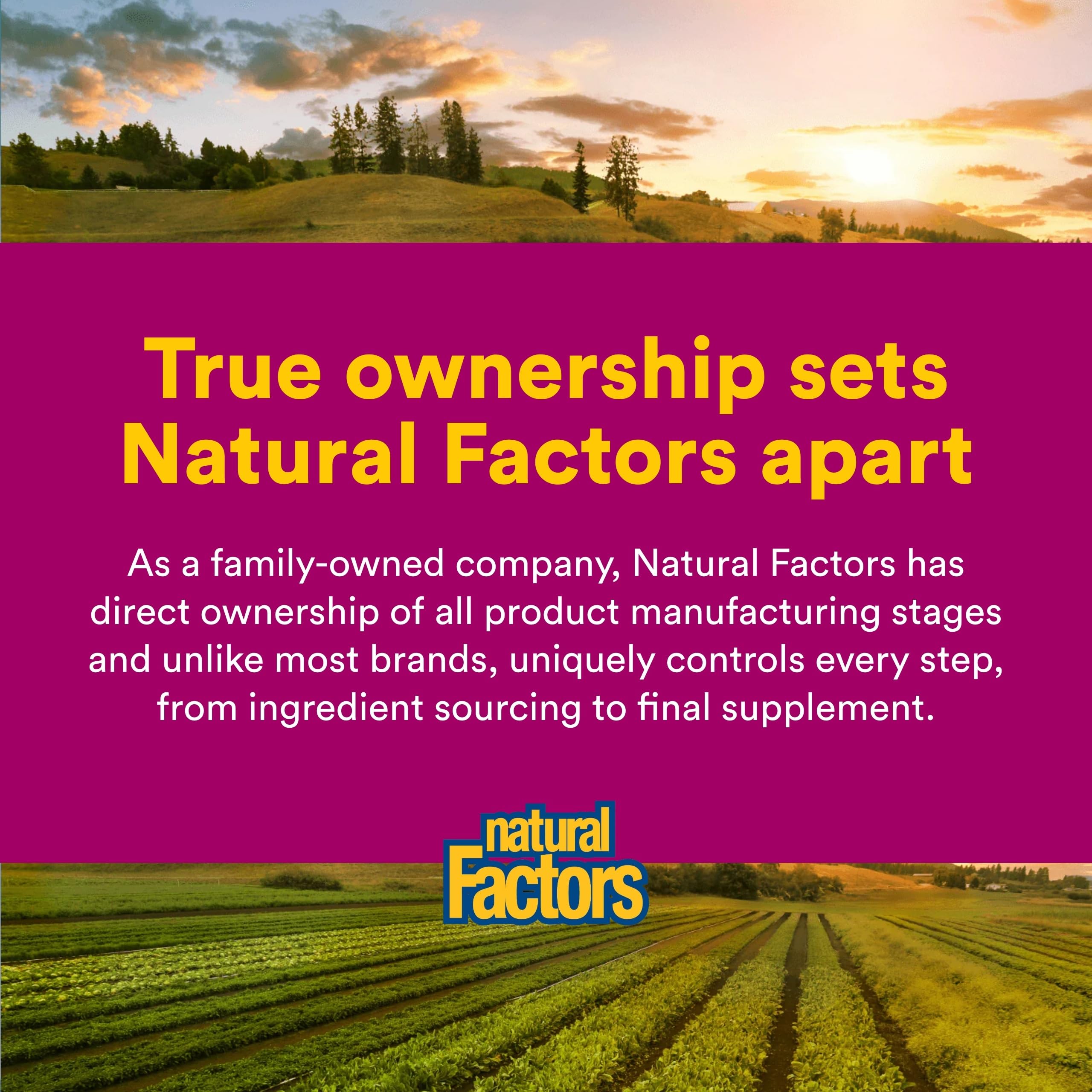 Natural Factors Aceite de Orégano, frasco de 1 oz para consumo cómodo.