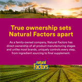 Natural Factors Aceite de Orégano, frasco de 1 oz para consumo cómodo.