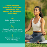 Cápsulas de Natural Factors Alfa-Lipoico 100 mg, apoyo a la energía y bienestar.