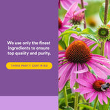 Natural Factors Anti-V ingredientes: equinácea orgánica y combinaciones para defensas.
