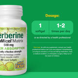 Natural Factors Berberine LipoMicel Matrix cápsulas, posible apoyo a niveles normales de colesterol.