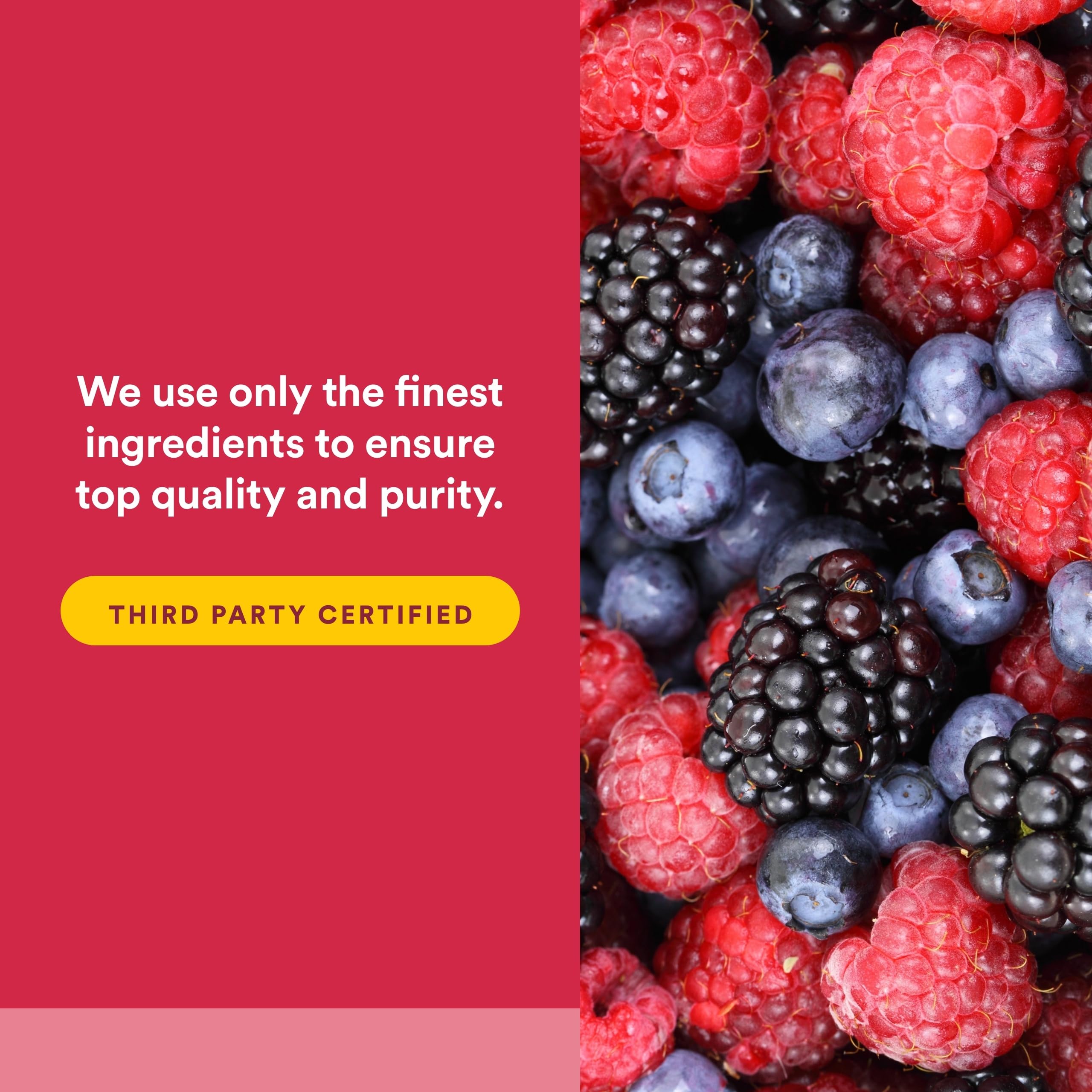 Natural Factors BioCgel con BerryRich: antioxidantes de fruta entera para apoyo diario.